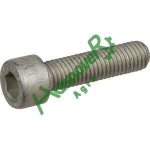Гвинт з цил. гол. M10x40-8,8 DI 3015811, Lemken